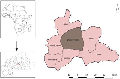 Detection and quantification of pesticide residues in tomatoes sold in urban markets of Ouagadougou, Burkina Faso